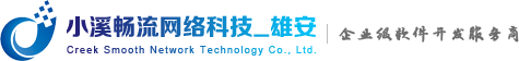 軟件開發公司